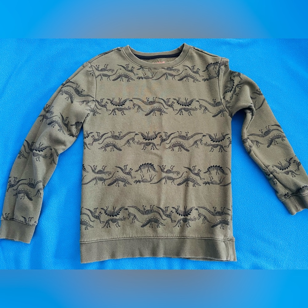 Cat and Jack boys sweater